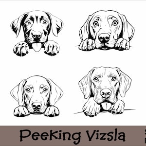 Peeking Vizsla SVG und PNG Bundle Peeking Paws, Hunderasse K-9 Tier Haustier Welpe Canine Pedigree Logo Digital Download