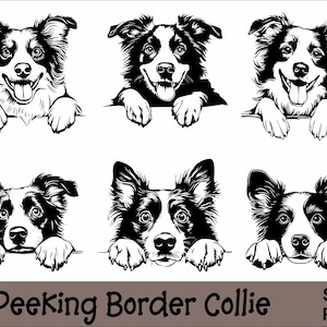 Gluren border collie SVG- en PNG-bundel | Peeking Paws, Hondenras, K-9, Huisdier, Stamboom puppy, Digitale download