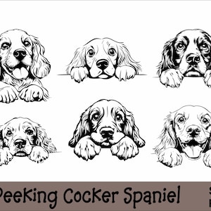 Gluren cocker-spaniël SVG en PNG-bundel gluren poten, hondenras K-9 dier huisdier puppy honden stamboom logo digitale download