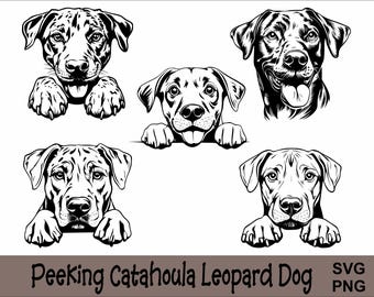 Peeking Catahoula Leopard Dog SVG und PNG Bundle Peeking Paws, Hunderasse K-9 Tier Haustier Welpe Canine Pedigree Logo Digitaler Download