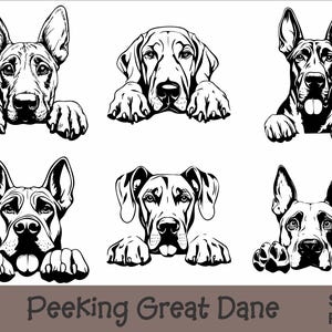 Gluren Duitse Dog SVG- en PNG-bundel | Peeking Paws, Hondenras, K-9, Huisdier, Stamboom puppy, Digitale download