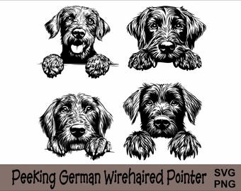 Könnte beinhalten: Schwarzweiß-Illustration eines Deutsch Drahthaar-Hundes, der über eine Oberfläche schaut. Der Hund hat ein langes, drahtiges Fell und einen freundlichen Ausdruck.