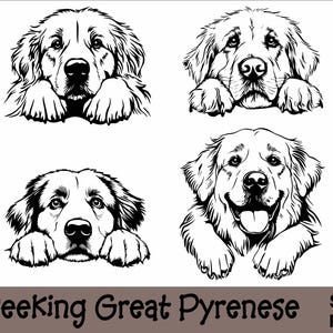 Gluren Grote Pyreneeën SVG en PNG bundel gluren poten, hondenras K-9 dier huisdier puppy honden stamboom logo digitale download