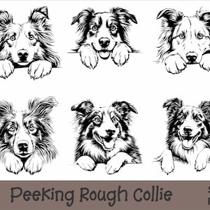 May include: Black and white line art illustration of six different poses of a Rough Collie dog peeking over a surface. The dog is looking at the viewer with a playful expression.