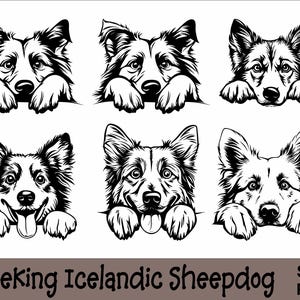 Pacchetto SVG e PNG di Peeking Islandic Sheepdog Peeking Paws, razza di cane K-9 animale domestico cucciolo canino pedigree logo download digitale
