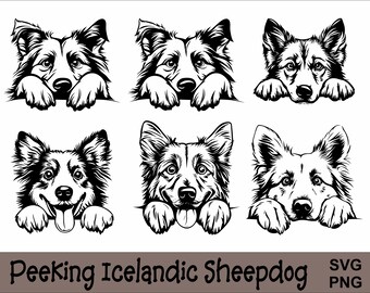Kikande isländsk fårhund SVG och PNG-paket Kikande tassar, hundras K-9 djur husdjur valp hund stamtavla logotyp digital nedladdning