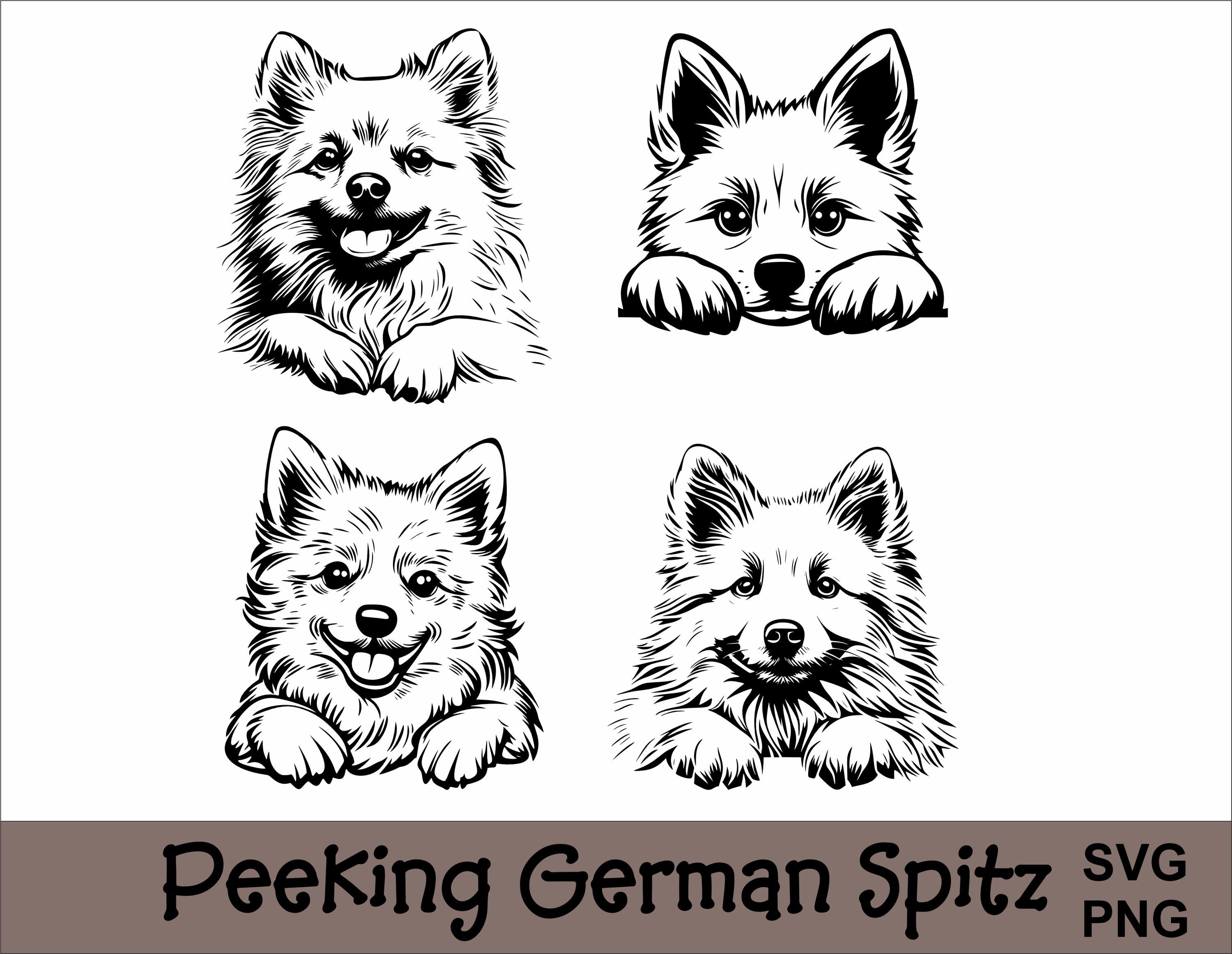 Peeking German Spitz SVG and PNG Bundle Peeking Paws, Dog Breed K-9 Animal Pet Puppy Canine Pedigree Logo Digital Download