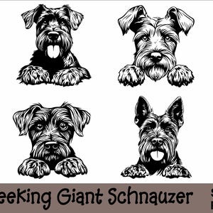 Gluren reuzenschnauzer SVG en PNG bundel gluren poten, hondenras K-9 dier huisdier puppy honden stamboom logo digitale download