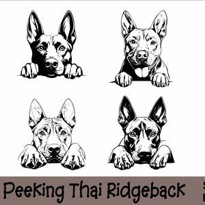 May include: Four black and white illustrations of Thai Ridgeback dogs peeking over a surface. Each dog has a different expression.
