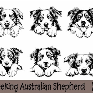 Australische herder gluren SVG en PNG bundel gluren poten, hondenras K-9 dier huisdier puppy honden stamboom logo digitale download
