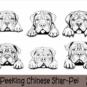 May include: Six black and white illustrations of a Chinese Shar-Pei dog peeking over the top of a surface. The dog is drawn in a cartoon style with exaggerated features.