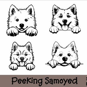 May include: Four black and white illustrations of Samoyed dogs peeking over a surface. Each dog has a different expression.