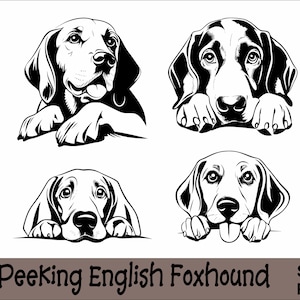 Peeking English Foxhound SVG and PNG Bundle Peeking Paws, Dog Breed K-9 Animal Pet Puppy Canine Pedigree Logo Digital Download