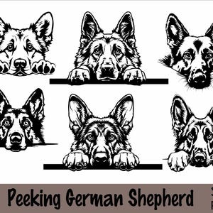 Peeking German Shepherd SVG and PNG Bundle | Peeking Paws, Dog Breed, K-9, Animal Pet, Puppy Canine Pedigree Logo, Digital Download