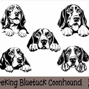 Peut inclure: Illustration en noir et blanc de cinq chiens de chasse Bluetick Coonhound regardant par-dessus une surface. Les chiens sont dessinés de manière stylisée et caricaturale.
