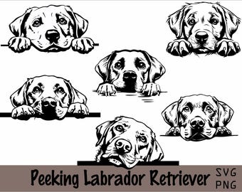 Peeking Labrador Retriever SVG and PNG Bundle | Peeking Paws, Dog Breed, K-9, Animal Pet, Puppy Canine Pedigree Logo, Digital Download