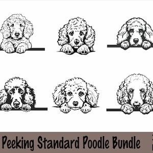 May include: A black and white digital illustration bundle featuring six peeking Standard Poodle designs. Each poodle is depicted with a fluffy, curly coat and is peering over a horizontal line. The text "Peeking Standard Poodle Bundle" is at the bottom.
