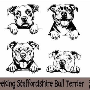 Gluren Staffordshire-bulterriër hond SVG en PNG bundel gluren poten, hondenras K-9 dier huisdier puppy Canine stamboom logo digitale download