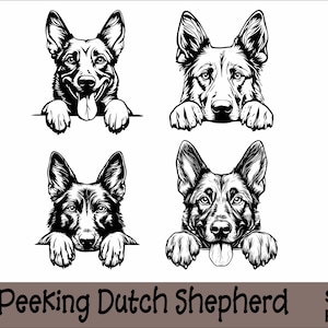 Paquete de SVG y PNG de pastor holandés que mira fijamente Patas que miran fijamente, raza de perro K-9 Animal Mascota Cachorro Pedigrí canino Logotipo Descarga digital