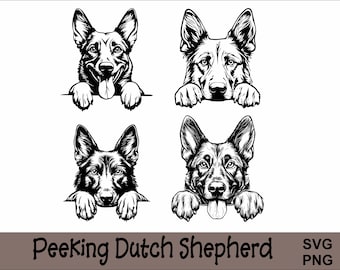 Peeking Dutch Shepherd SVG and PNG Bundle Peeking Paws, Dog Breed K-9 Animal Pet Puppy Canine Pedigree Logo Digital Download