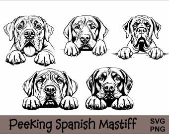 Spaanse mastiff gluren SVG en png-bundel gluren poten, hondenras K-9 dier huisdier puppy honden stamboom logo digitale download