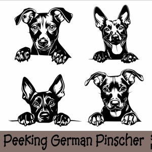Gluren Duitse Pinscher SVG en PNG bundel gluren poten, hondenras K-9 dier huisdier puppy honden stamboom logo digitale download