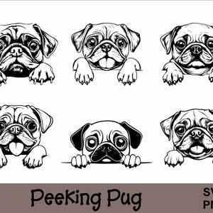 Op de afbeelding: Zes zwart-wit illustraties van mopshonden die over een oppervlak kijken. De mopshonden zijn getekend in een cartoon-stijl met overdreven kenmerken. De tekst "Peeking Pug" staat onderaan de afbeelding. De tekst "SVG PNG" staat rechtsonder in de afbeelding.