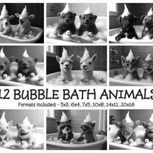 Bubble Bath Animal Portraits – Set of 12 Adorably Framed Critters | Funny Bathroom Wall Art Prints
