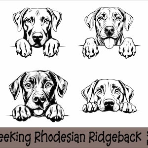 Gluren Rhodesian Ridgeback SVG en PNG bundel gluren poten, hondenras K-9 dier huisdier puppy honden stamboom logo digitale download