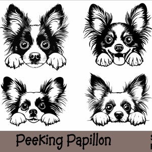 Peeking Papillon SVG en PNG bundel Peeking Paws, hondenras K-9 dier huisdier puppy honden stamboom logo digitale download