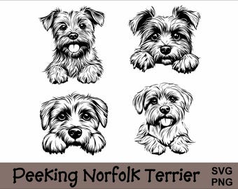 Peeking Norfolk Terrier SVG and PNG Bundle Peeking Paws, Dog Breed K-9 Animal Pet Puppy Canine Pedigree Logo Digital Download
