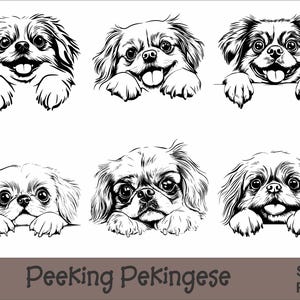 Peeking Pekingese SVG en PNG bundel Peeking Paws, hondenras K-9 dier huisdier puppy honden stamboom logo digitale download