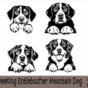 Peeking Entlebucher Sennenhund SVG und PNG Bundle Peeking Paws, Hunderasse K-9 Tier Haustier Welpe Canine Pedigree Logo digitaler Download