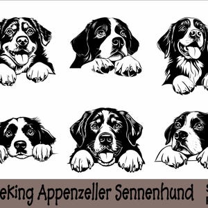 Peeking Appenzeller Sennenhond SVG en PNG bundel Peeking Paws, hondenras K-9 dier huisdier puppy honden stamboom logo digitale download