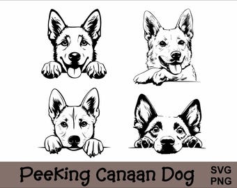 Peeking Canaan Dog SVG and PNG Bundle Peeking Paws, Dog Breed K-9 Animal Pet Puppy Canine Pedigree Logo Digital Download