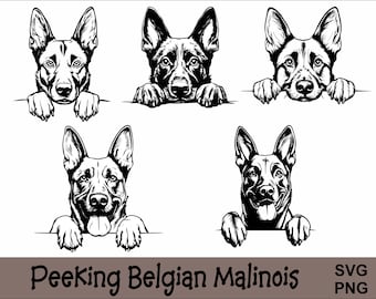 Peeking Belgian Malinois SVG and PNG Bundle Peeking Paws, Dog Breed K-9 Animal Pet Puppy Canine Pedigree Logo Digital Download