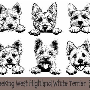 Gluren West Highland White Terrier SVG en PNG bundel Peeking Paws, hondenras K-9 dier huisdier puppy honden stamboom logo digitale download