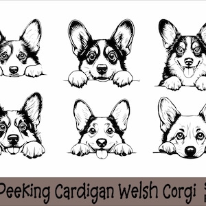 Peeking Cardigan Welsh Corgis SVG und PNG Bundle Peeking Paws, Hunderasse K-9 Tier Haustier Welpe Canine Pedigree Logo digitaler Download