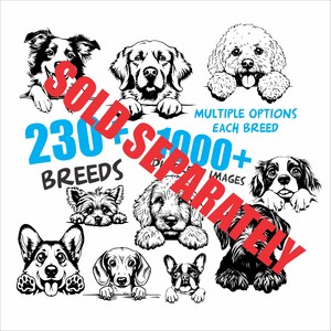 a bunch of dogs that are on a poster