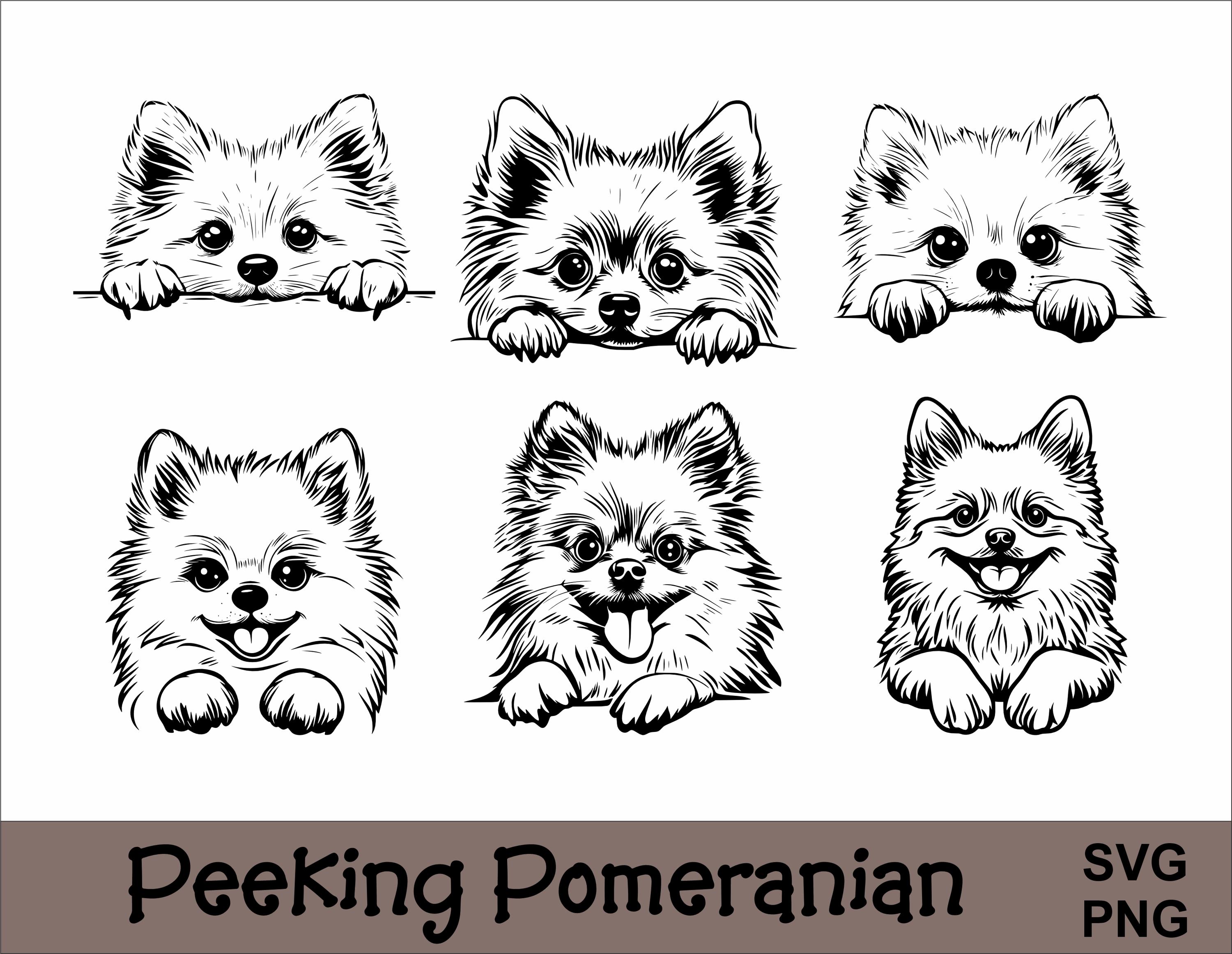 Peeking Pomeranian SVG and PNG Bundle Peeking Paws, Dog Breed K-9 Animal Pet Puppy Canine Pedigree Logo Digital Download