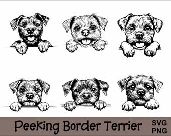 Peeking Border Terrier SVG and PNG Bundle Peeking Paws, Dog Breed K-9 Animal Pet Puppy Canine Pedigree Logo Digital Download