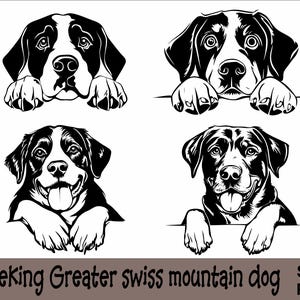 Peeking Größerer Schweizer Sennenhund SVG und PNG Bundle Peeking Paws, Hunderasse K-9 Tier Haustier Welpe Canine Pedigree Logo Digitaler Download