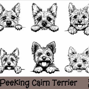 Peeking Cairn Terrier SVG and PNG Bundle Peeking Paws, Dog Breed K-9 Animal Pet Puppy Canine Pedigree Logo Digital Download