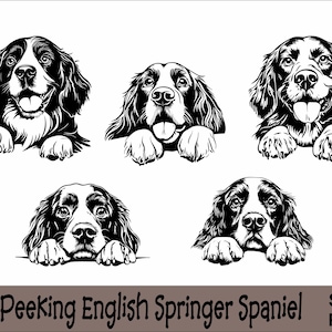 Puede incluir: Cinco ilustraciones en blanco y negro de Springer Spaniel ingleses asomándose por encima de una superficie. Cada perro tiene una expresión diferente.
