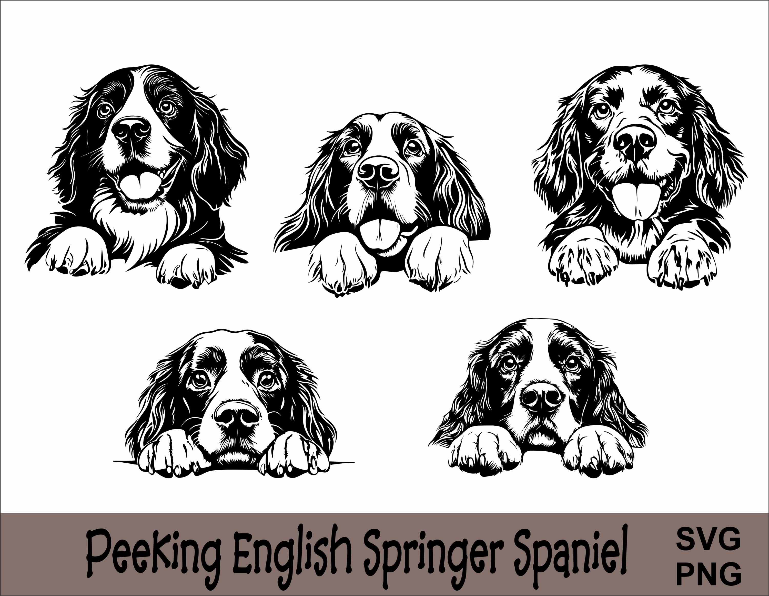 Springer Spaniel Svg