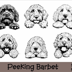 Peeking Barbet SVG and PNG Bundle Peeking Paws, Dog Breed K-9 Animal Pet Puppy Canine Pedigree Logo Digital Download