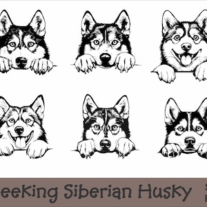 Peeking Siberian Husky SVG and PNG Bundle | Peeking Paws, Dog Breed, K-9, Animal Pet, Puppy Canine Pedigree, Digital Download