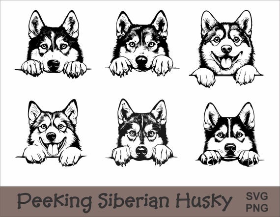 Peeking Siberian Husky SVG and PNG Bundle | Peeking Paws, Dog Breed, K-9, Animal Pet, Puppy Canine Pedigree, Digital Download