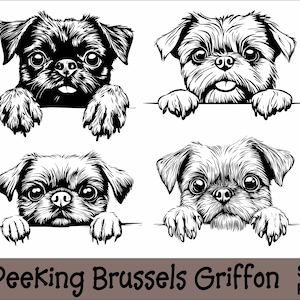 Pacchetto SVG e PNG di Griffon di Bruxelles che sbircia Peeking Paws, razza di cane K-9 animale domestico cucciolo pedigree canino logo download digitale