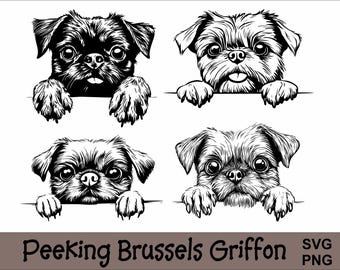 Op de afbeelding: Zwart-witte lijntekening van vier Brusselse Griffons die over een oppervlak kijken. Elke hond heeft een andere uitdrukking.